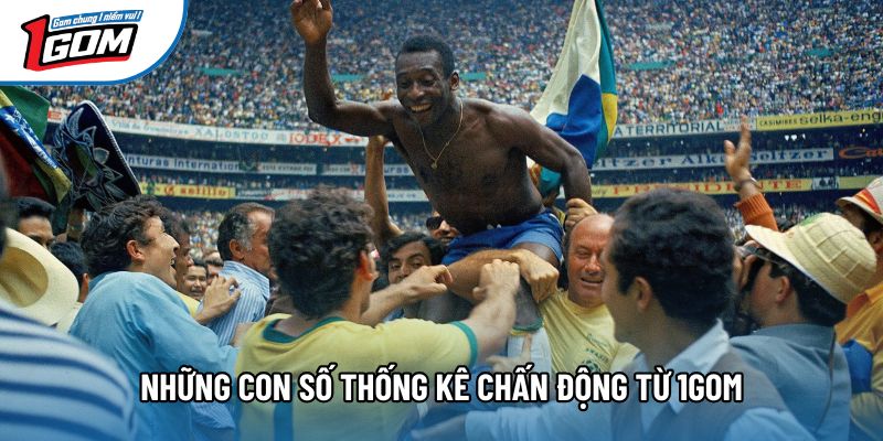 Những con số thống kê chấn động từ 1gom