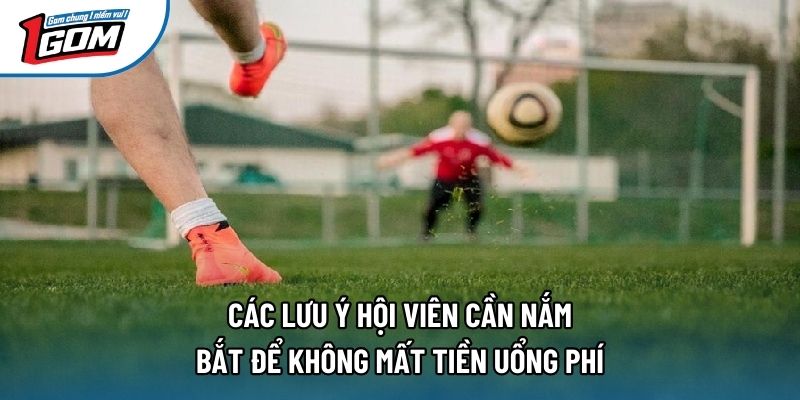 Các lưu ý hội viên cần nắm bắt để không mất tiền uổng phí Các lưu ý hội viên cần nắm bắt để không mất tiền uổng phí