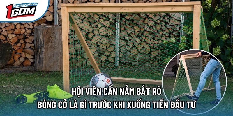 Hội viên cần nắm bắt rõ bóng cỏ là gì trước khi xuống tiền đầu tư Hội viên cần nắm bắt rõ bóng cỏ là gì trước khi xuống tiền đầu tư