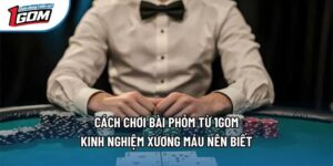 Cách Chơi Bài Phỏm Từ 1gom - Kinh Nghiệm Xương Máu Nên Biết
