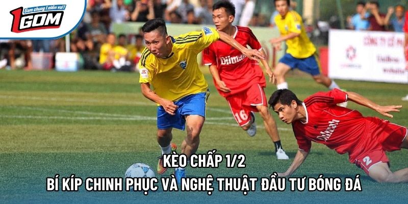 Kèo Chấp 1/2 | Bí Kíp Chinh Phục Và Nghệ Thuật Đầu Tư Bóng Đá