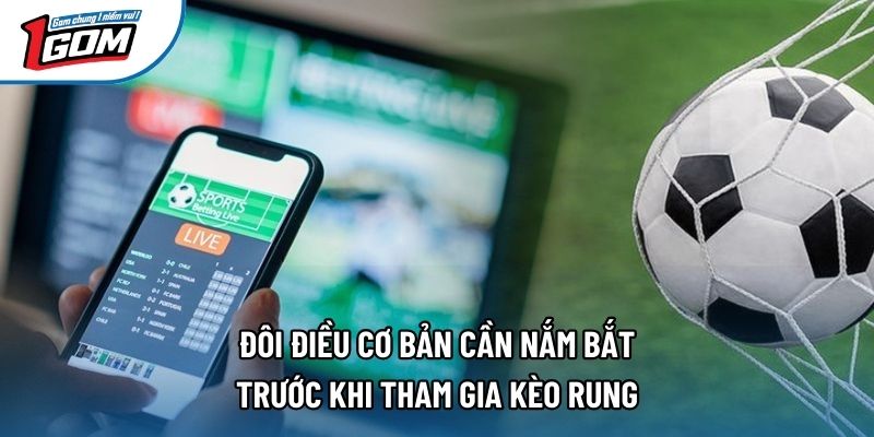 Đôi điều cơ bản cần nắm bắt trước khi tham gia kèo rung Đôi điều cơ bản cần nắm bắt trước khi tham gia kèo rung