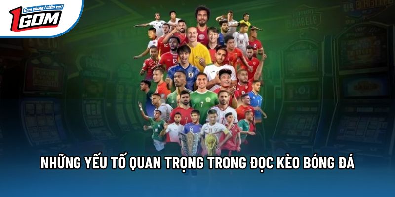 Những yếu tố quan trọng trong đọc kèo bóng đá