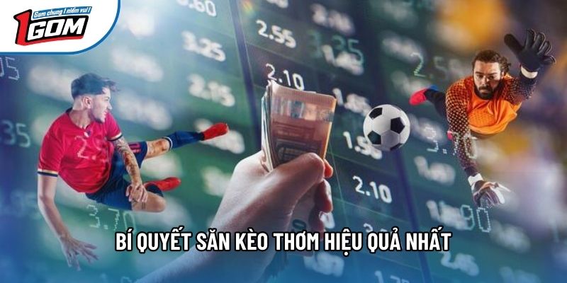 Bí quyết săn kèo thơm hiệu quả nhất Bí quyết săn kèo thơm hiệu quả nhất