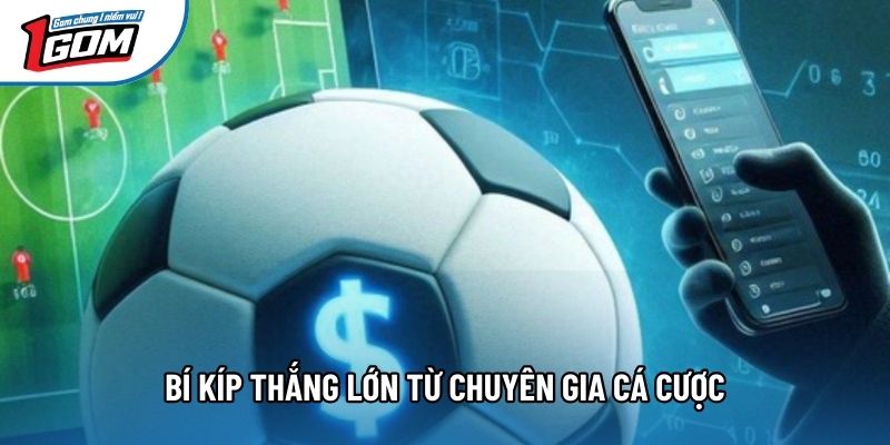 Bí kíp thắng lớn từ chuyên gia cá cược